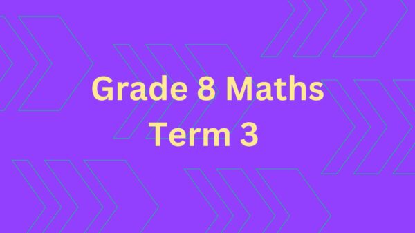 Grade 8 Term 3 Maths